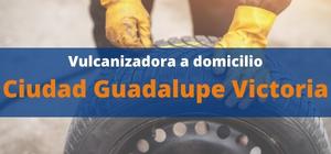 Vulcanizadora Ciudad Guadalupe Victoria a domicilio